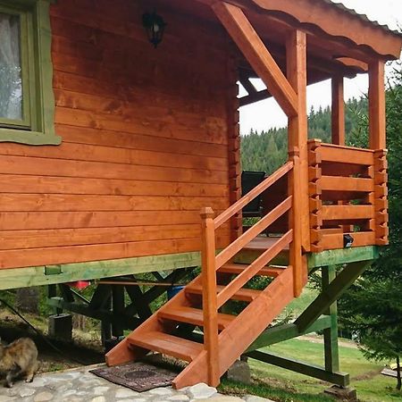 Cabana Casa Craita Zărneşti エクステリア 写真