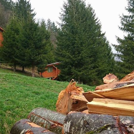 Cabana Casa Craita Zărneşti エクステリア 写真