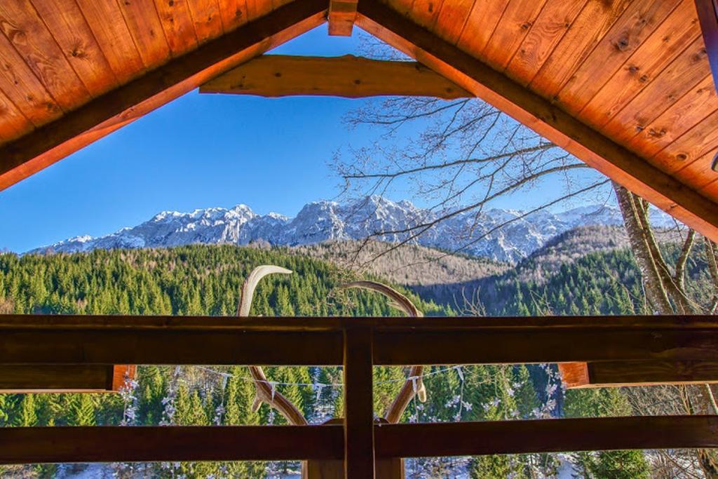 Cabana Casa Craita Zărneşti 部屋 写真
