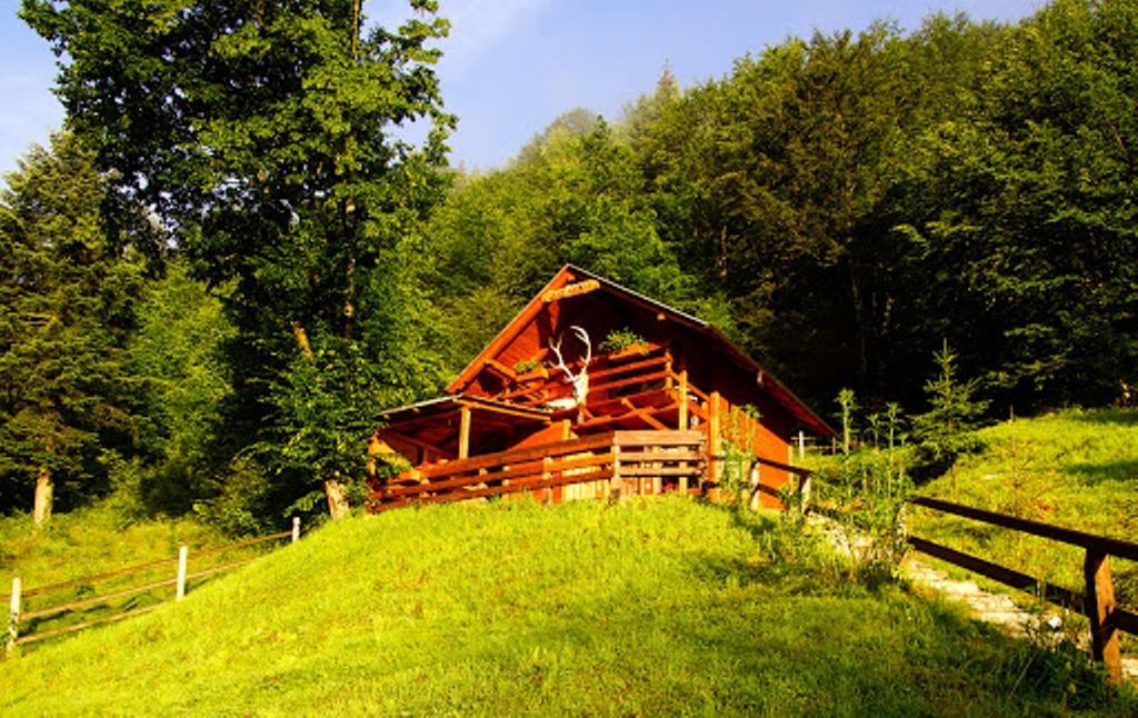Cabana Casa Craita Zărneşti 部屋 写真