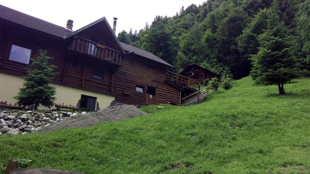 Cabana Casa Craita Zărneşti エクステリア 写真