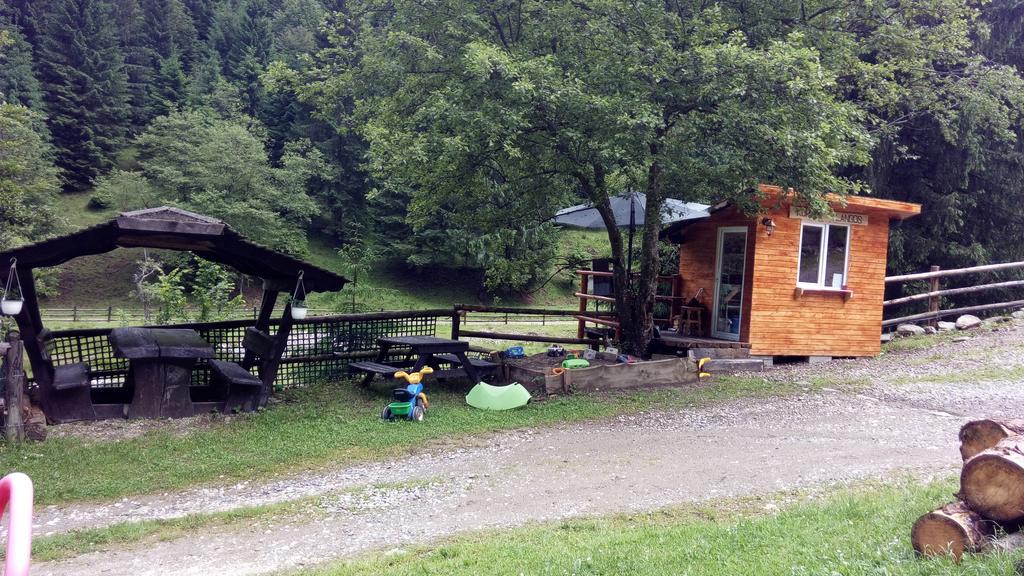 Cabana Casa Craita Zărneşti エクステリア 写真