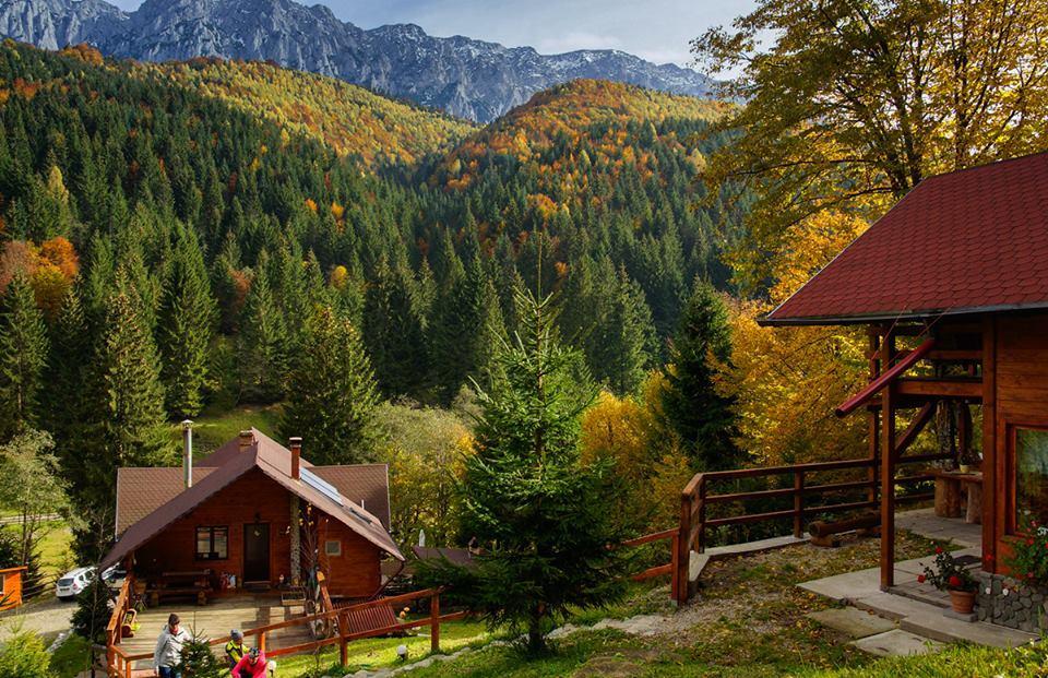 Cabana Casa Craita Zărneşti エクステリア 写真