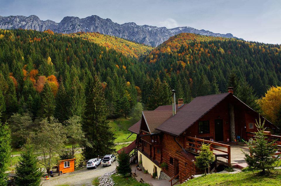 Cabana Casa Craita Zărneşti エクステリア 写真