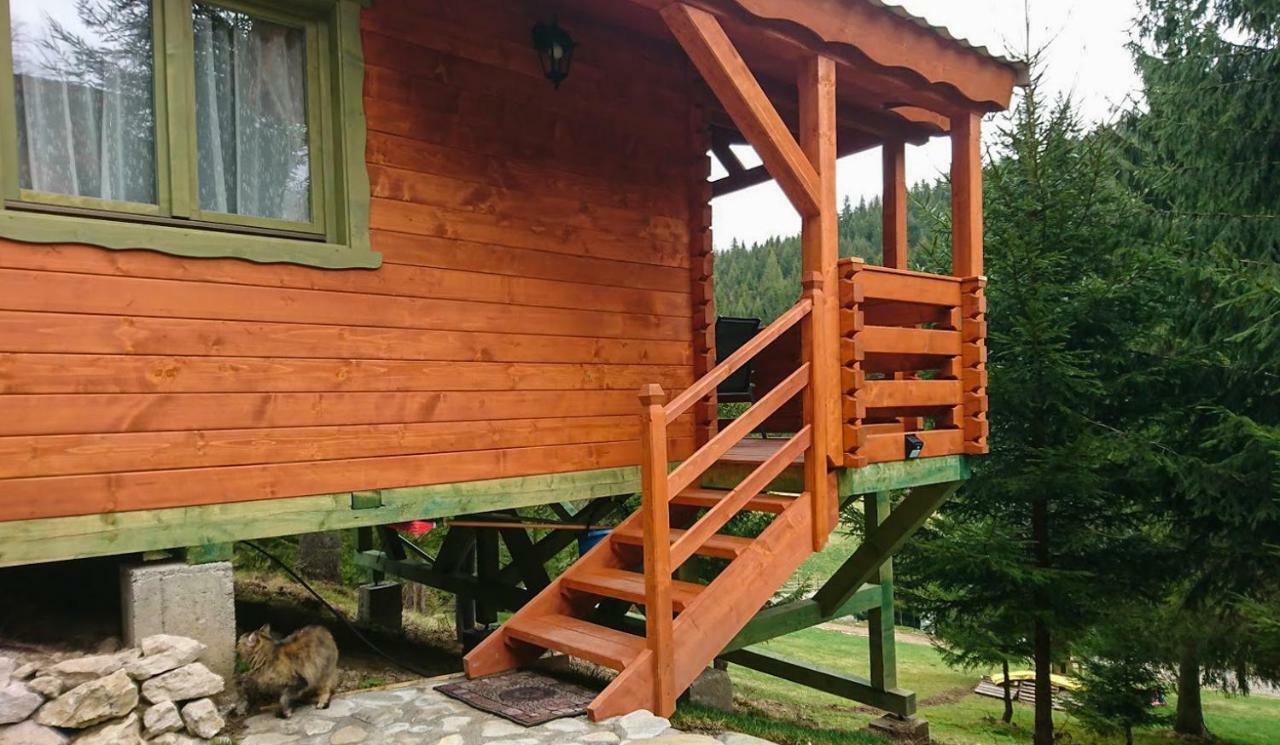 Cabana Casa Craita Zărneşti エクステリア 写真